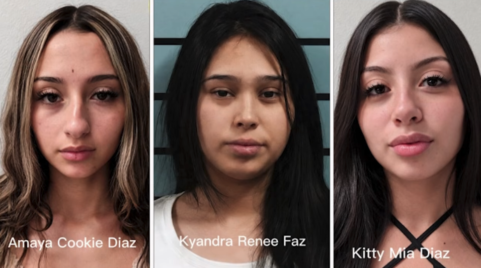 Smirking suspects mugshots